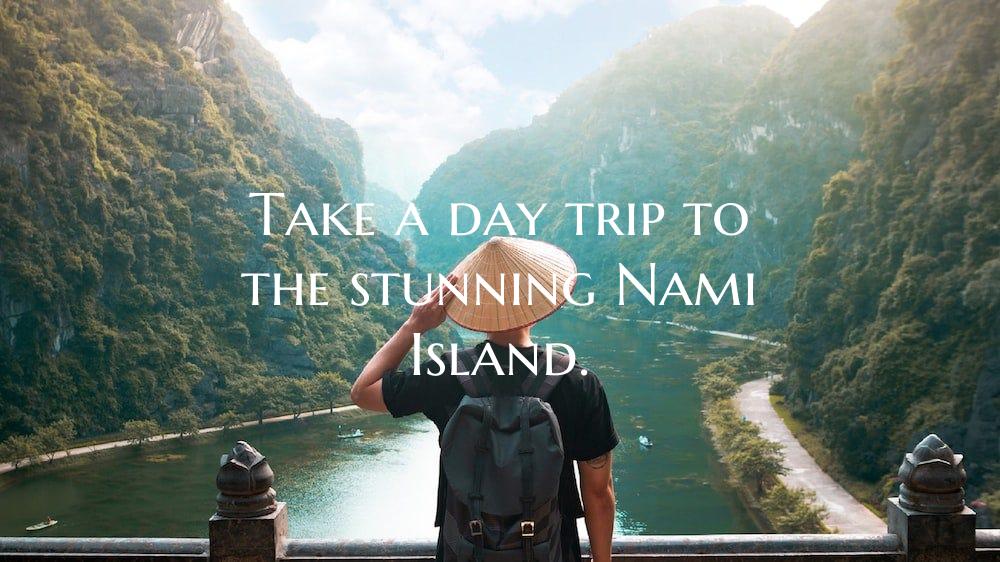 Take a day trip to the stunning Nami Island.